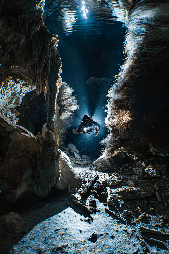 Root Veins in a Cenote Cave (Compact Runner Up)