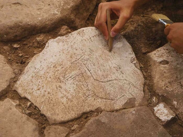 A 12,000-Year-Old Wild Donkey Carving Found on a Stone in Turkey