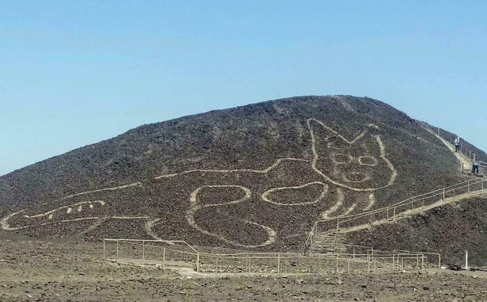 Newly Found Nazca 'Kitty' Glyph Dating Back Over 2,000 Years
