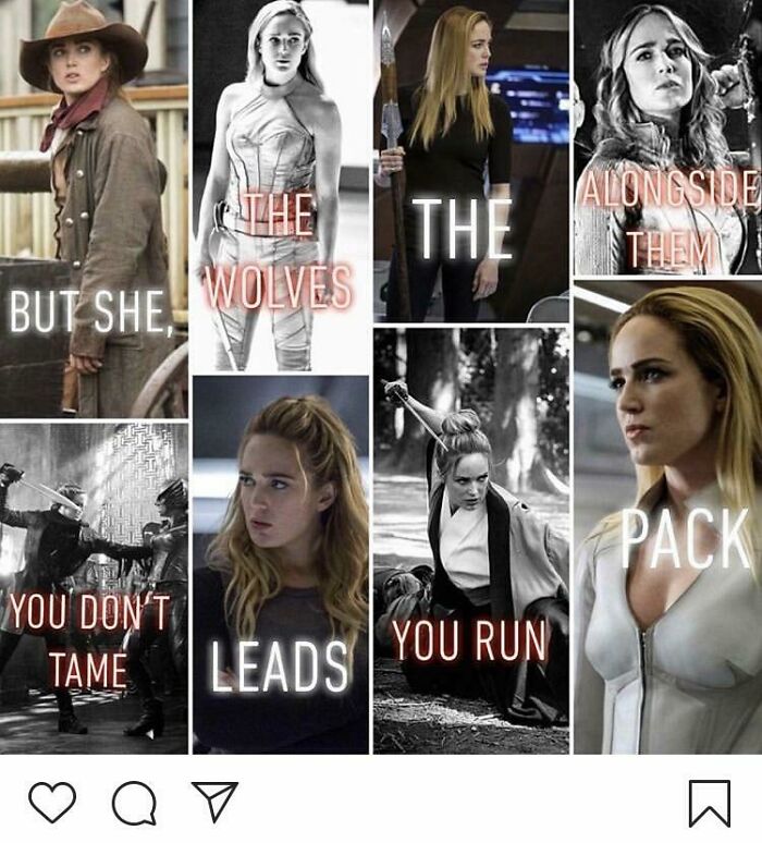 Wolves, Packs, and a Riddle