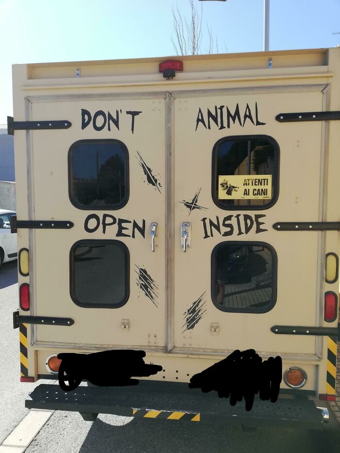 Don’t Animal Open Inside