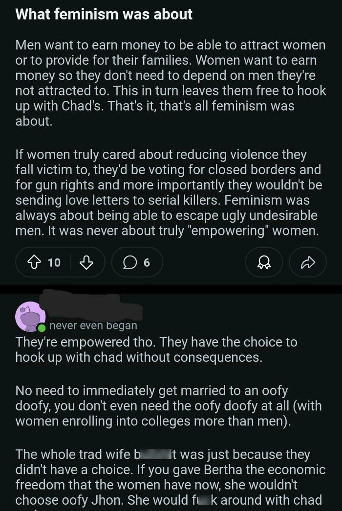 Incel’s Take On Feminism (Spoiler: It’s Wild)