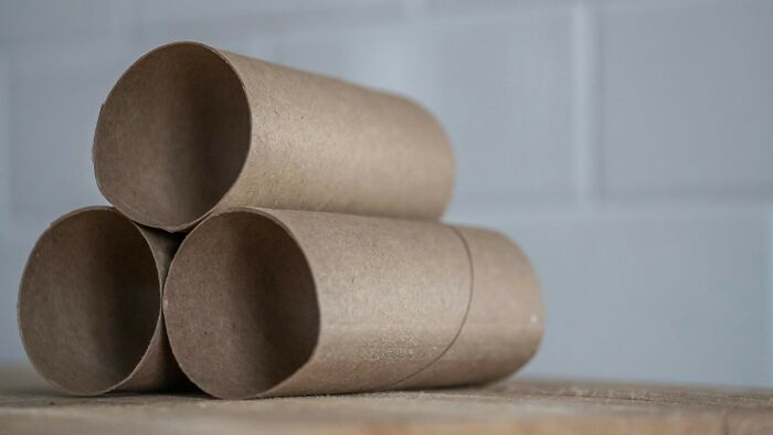 Turning anything tube-like (hello, paper towels!) into the loudest megaphone or trumpet—sorry, neighbors!