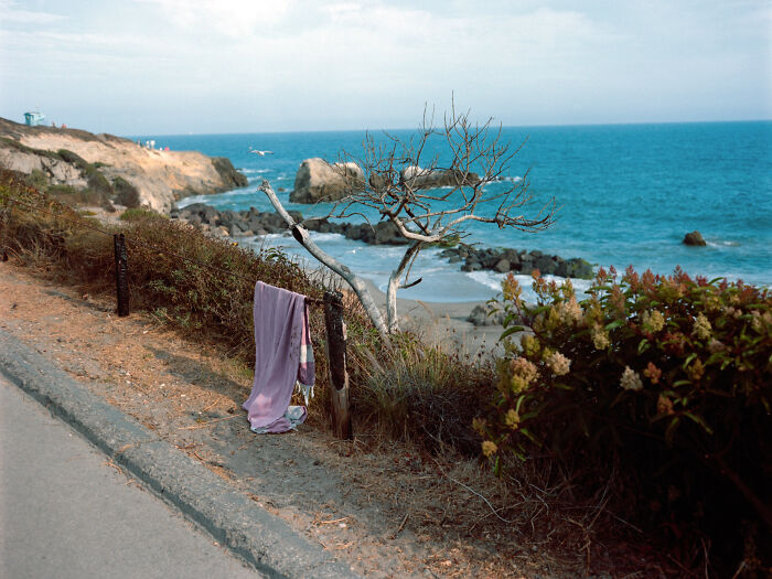 The American West Through a Lens: Quirky, Cool, and Full of Vibes