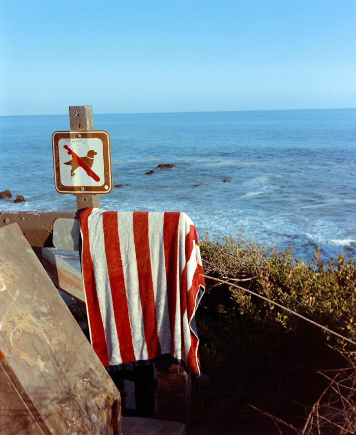 The American West Through a Lens: Quirky, Cool, and Full of Vibes