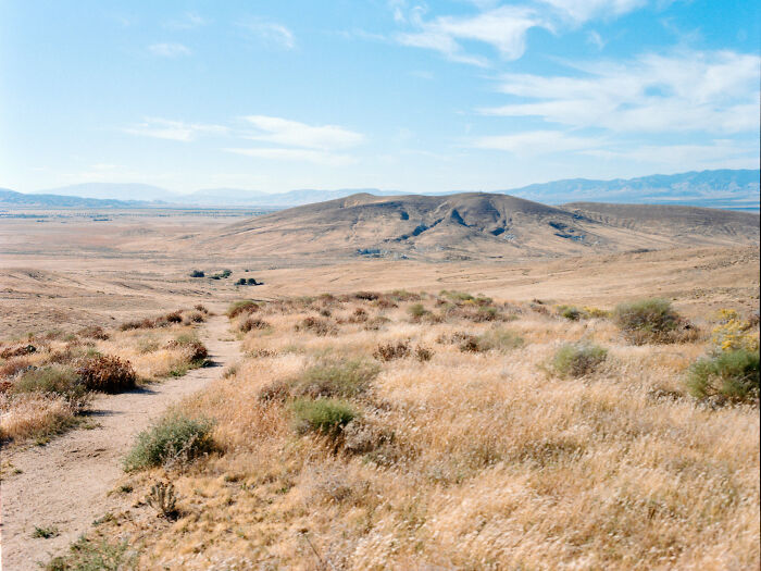 The American West Through a Lens: Quirky, Cool, and Full of Vibes