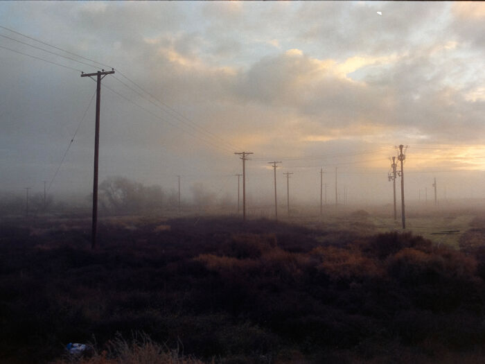 The American West Through a Lens: Quirky, Cool, and Full of Vibes