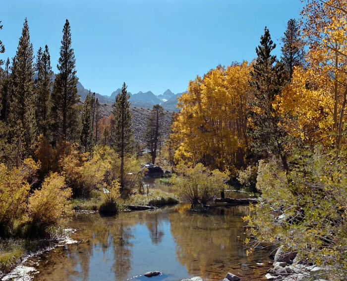 The American West Through a Lens: Quirky, Cool, and Full of Vibes