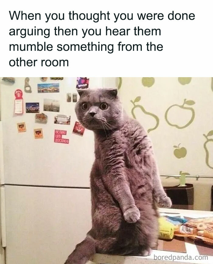The 81 Funniest Cat Memes That Totally Get Us (And Our Weird Moods)