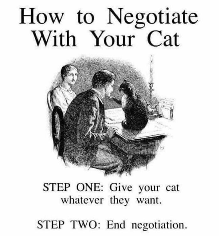 The 81 Funniest Cat Memes That Totally Get Us (And Our Weird Moods)