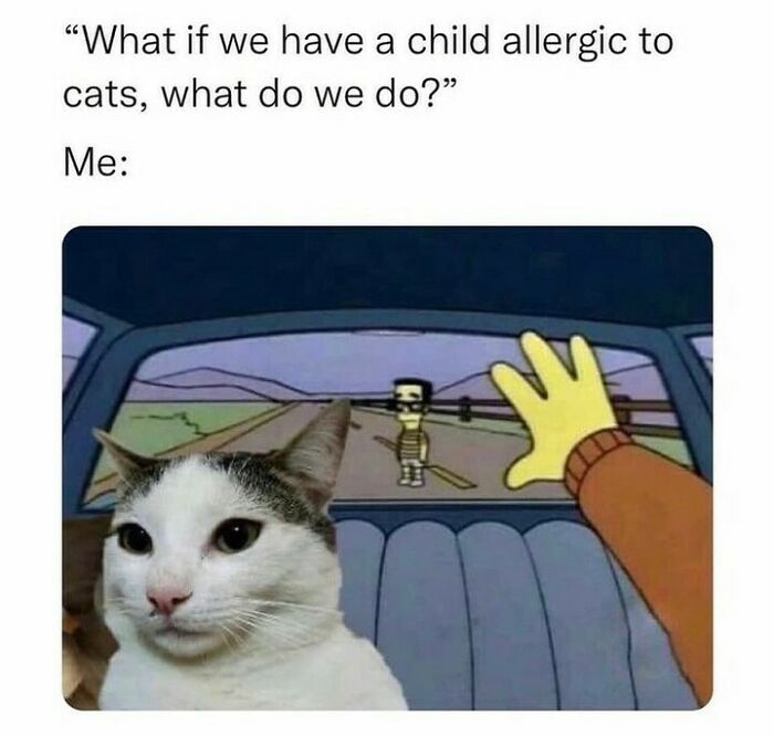 The 81 Funniest Cat Memes That Totally Get Us (And Our Weird Moods)