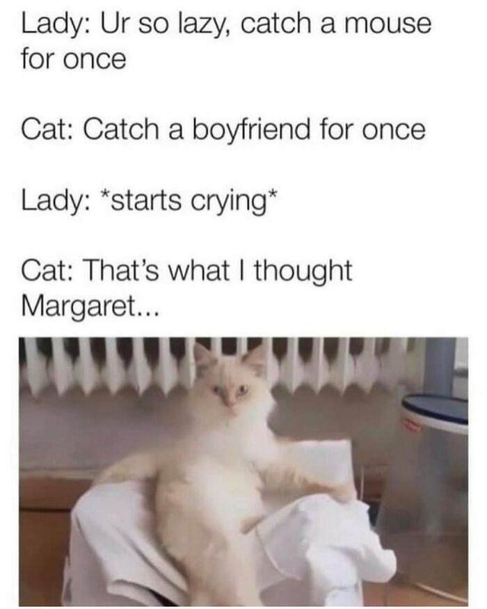 The 81 Funniest Cat Memes That Totally Get Us (And Our Weird Moods)
