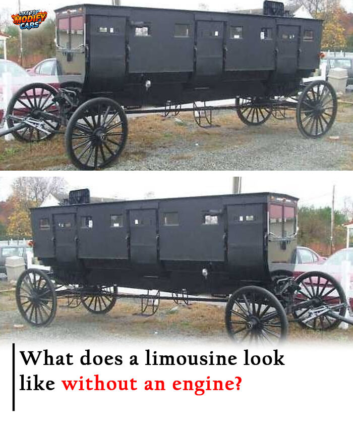 Amish Limo: Fancy Horses Pull Old-School Class
