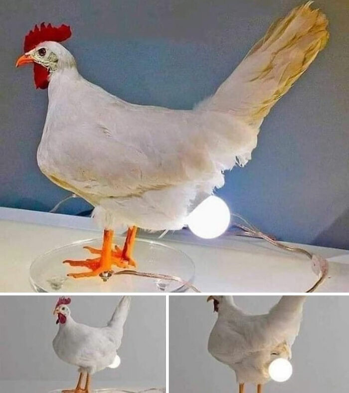 Wait, They Actually Made These Horrible Designs?! Check Out 40 of the Worst!