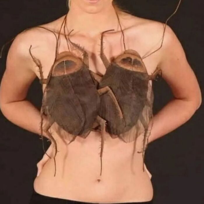 Wait, They Actually Made These Horrible Designs?! Check Out 40 of the Worst!