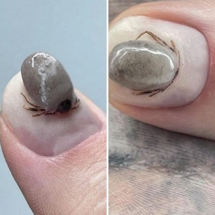 Wait, They Actually Made These Horrible Designs?! Check Out 40 of the Worst!