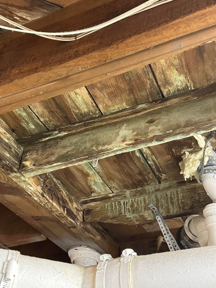 The Wildest Stuff People Found Left in Old Houses (You Won't Believe #7!)