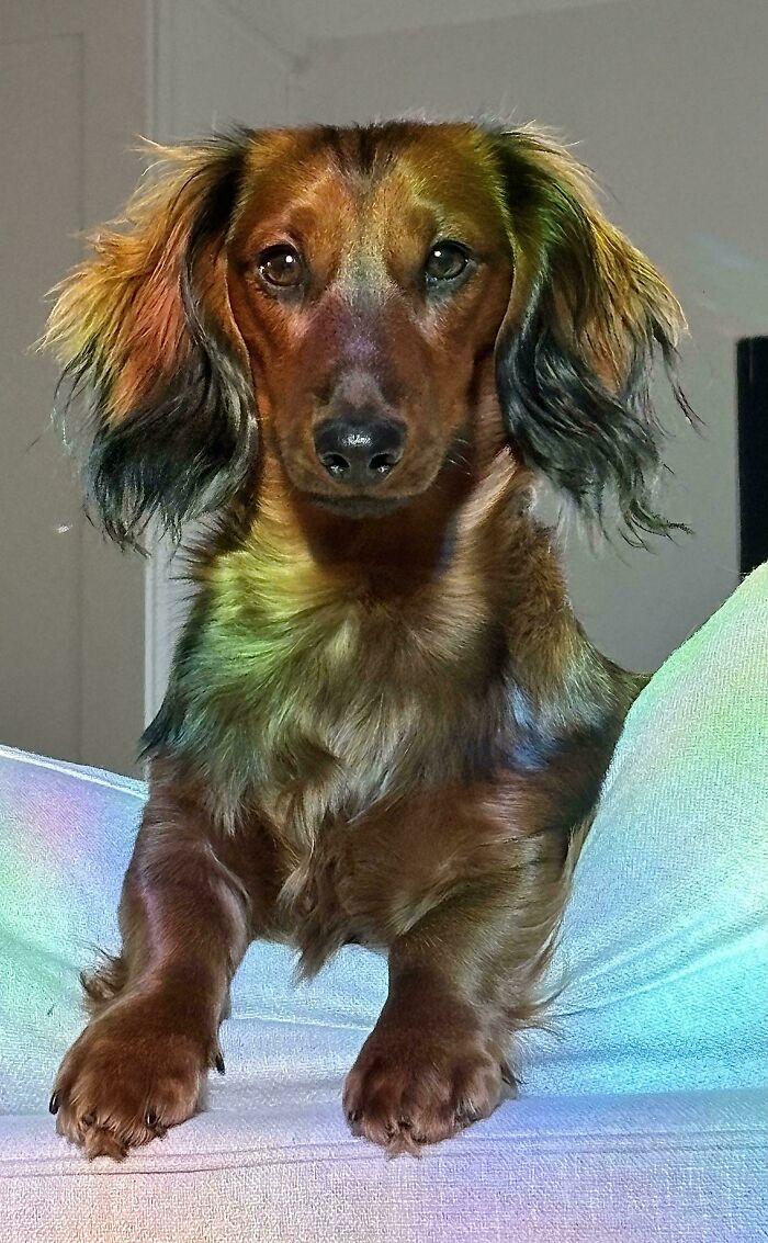 Caught In A Rare 'Majestic' Mode