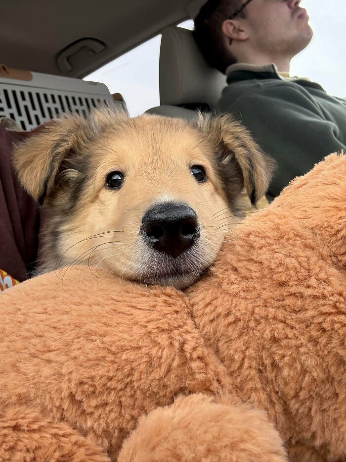 Name Chosen: Juniper! Cute, Right?