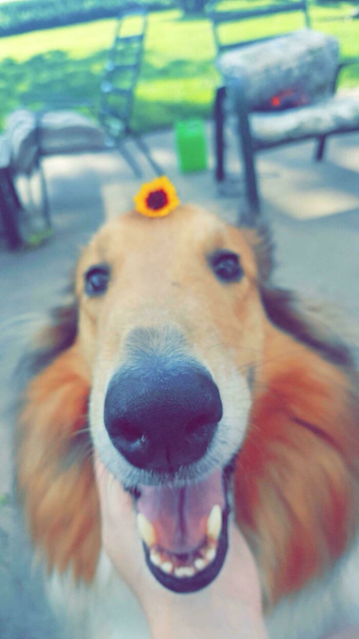 13 Years, 5 Months, and Oodles of Love