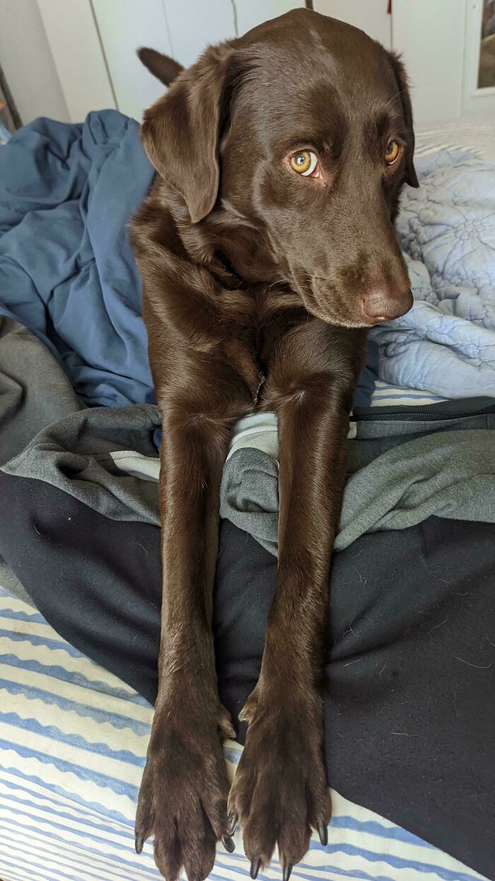 Those Eyes! Can You Even Handle This?