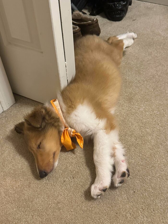 One Month With My Boy Lennon