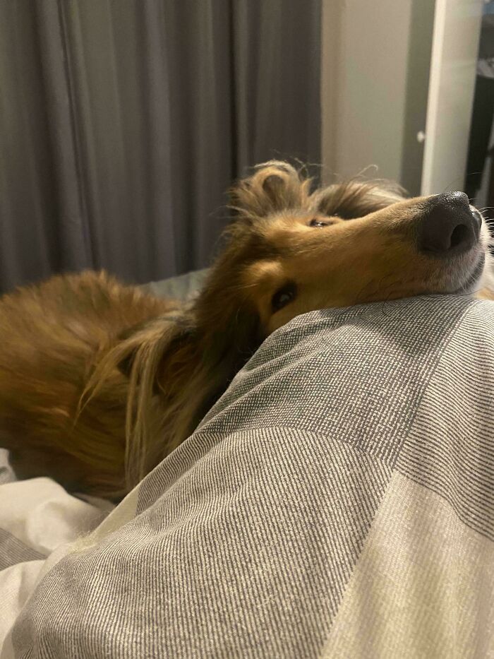 I Just Really Love This Guy So Much