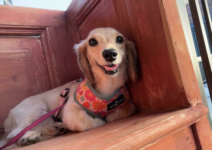 My Best Friend, My Partner In Crime