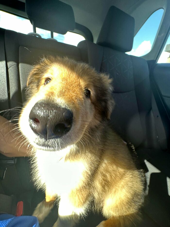 That One Funny Look You Can’t Forget