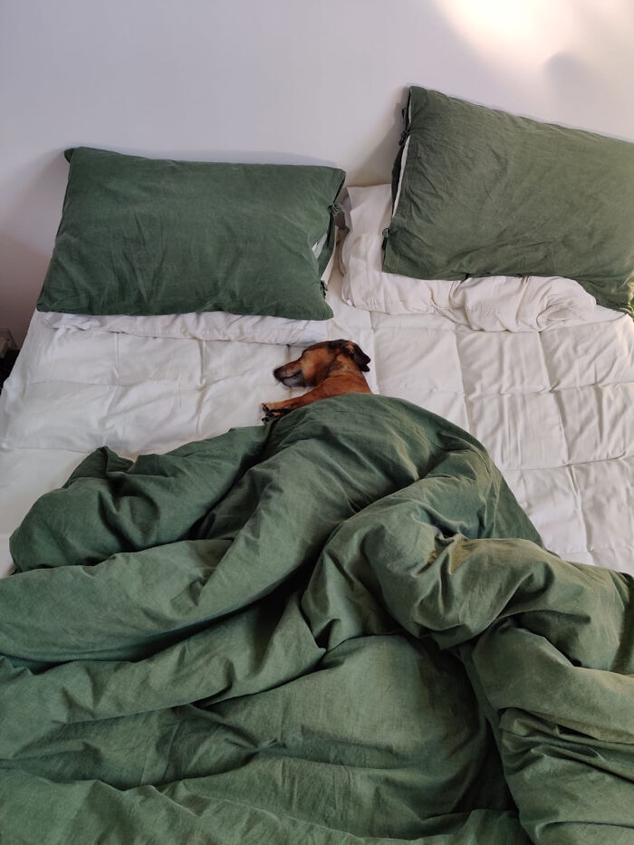 It’s His World, We Just Live In It