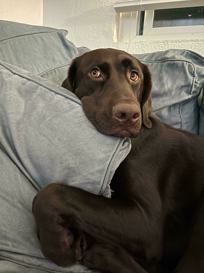 Ramona Melts Hearts Daily, Guaranteed