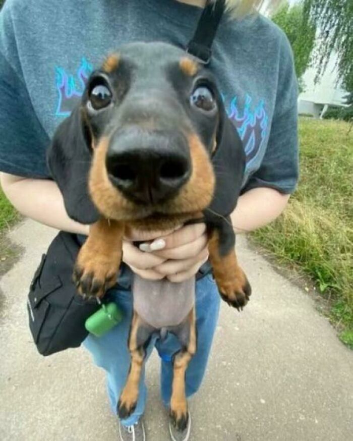 My Little Baby, Big Heart Edition