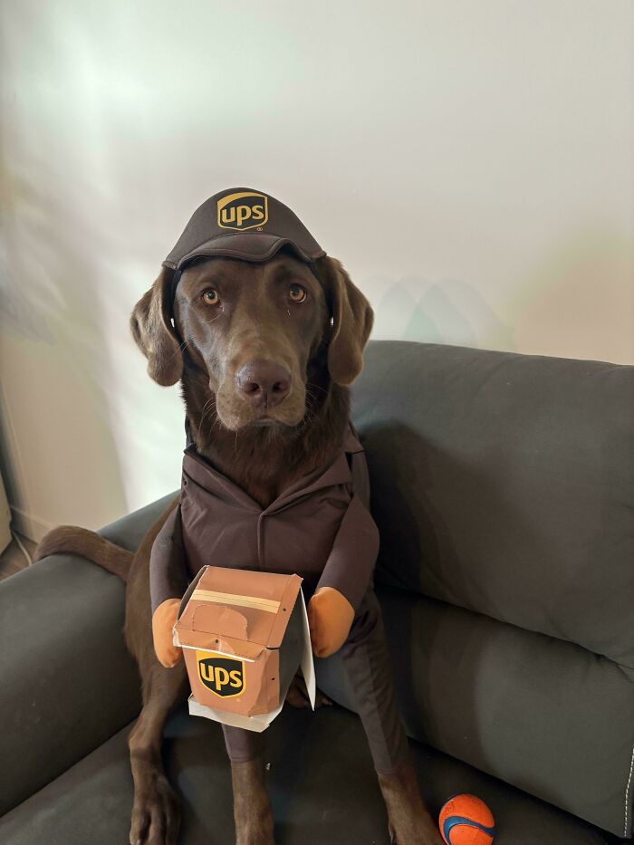 Touching Down On His First Job – Be Gentle!