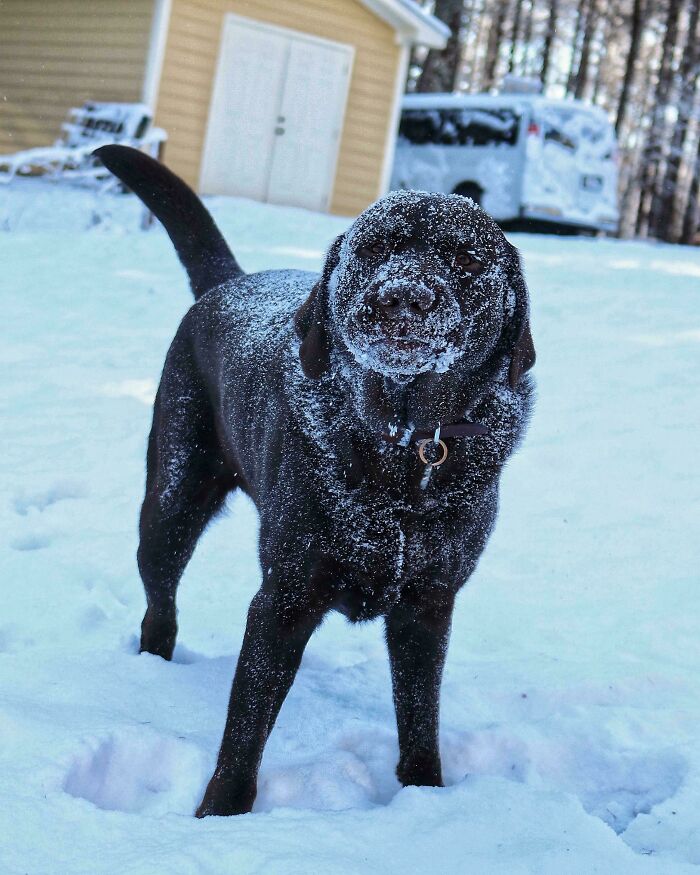 Stout Is Loving The Snow—Like, Really Loving It