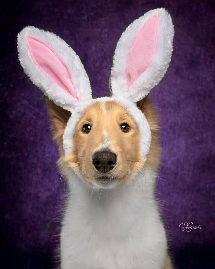 A Few More Snaps Of My Girl Lyra