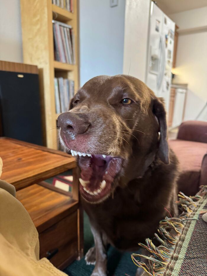 Favorite Guy Just Turned 5! Party Time!