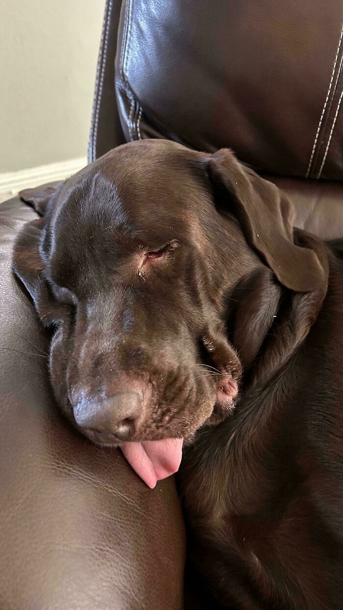 Daily Greg Pic #103 (Because The World Needs More Greg)