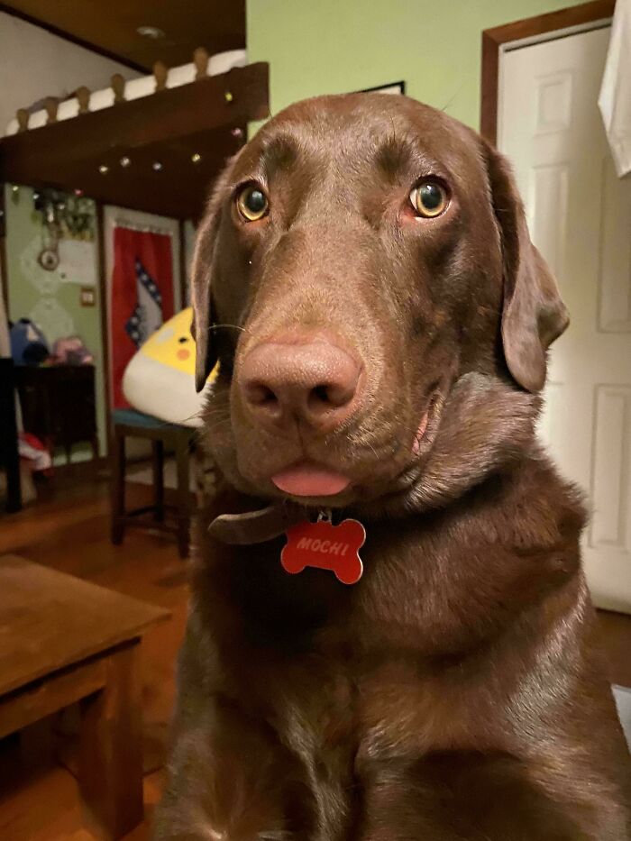 Her Face When She’s Still Hungry 30 Seconds After Eating