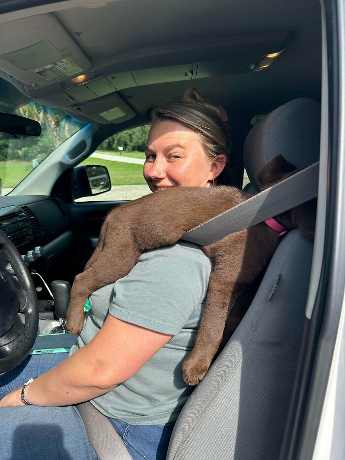 Luna’s Growing Fast! Four Months, 40 Lbs, Still Wants Shoulder Rides