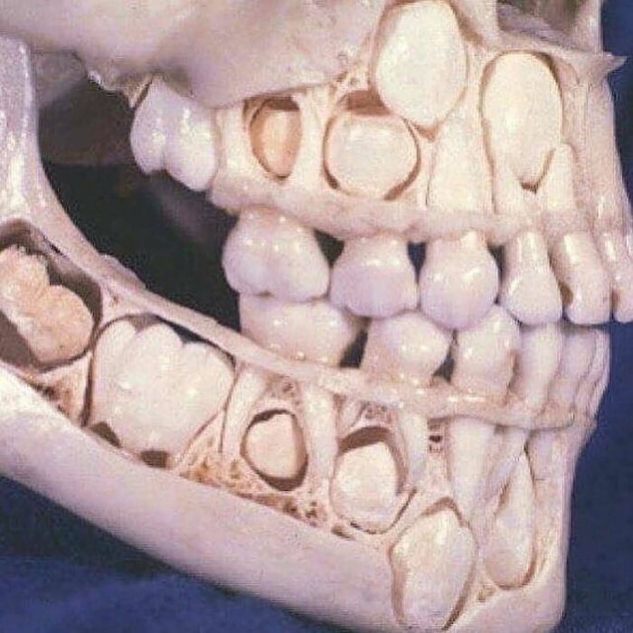 Wait, They Actually Took Pictures Of These Medical Weirdos?!