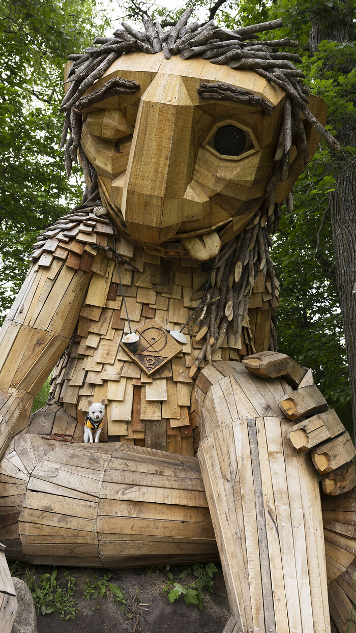 My Tiny Chihuahua’s Big, Hilarious Troll Hunt Adventures