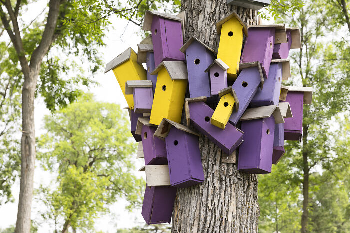 My Tiny Chihuahua’s Big, Hilarious Troll Hunt Adventures