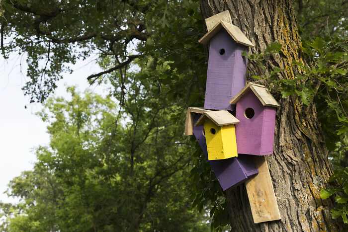 My Tiny Chihuahua’s Big, Hilarious Troll Hunt Adventures