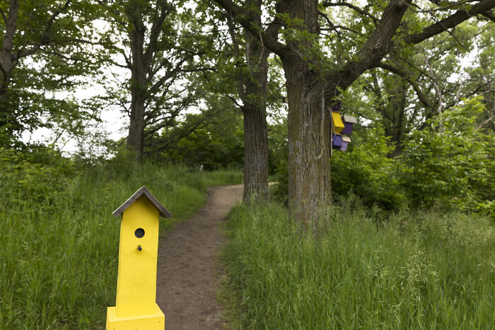 My Tiny Chihuahua’s Big, Hilarious Troll Hunt Adventures