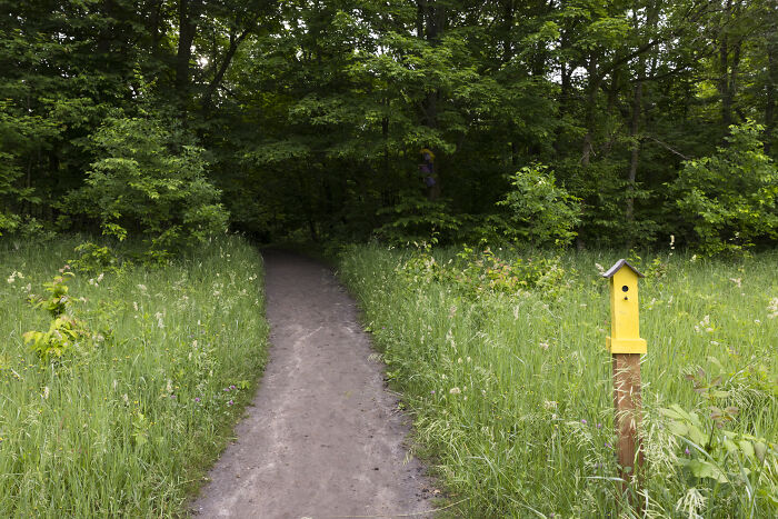 My Tiny Chihuahua’s Big, Hilarious Troll Hunt Adventures