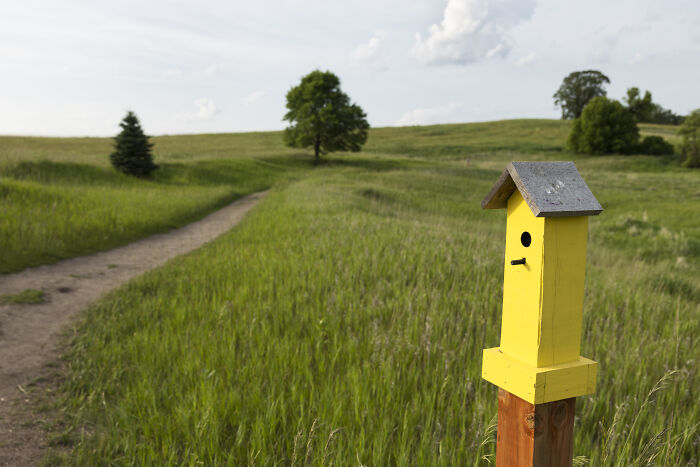 My Tiny Chihuahua’s Big, Hilarious Troll Hunt Adventures