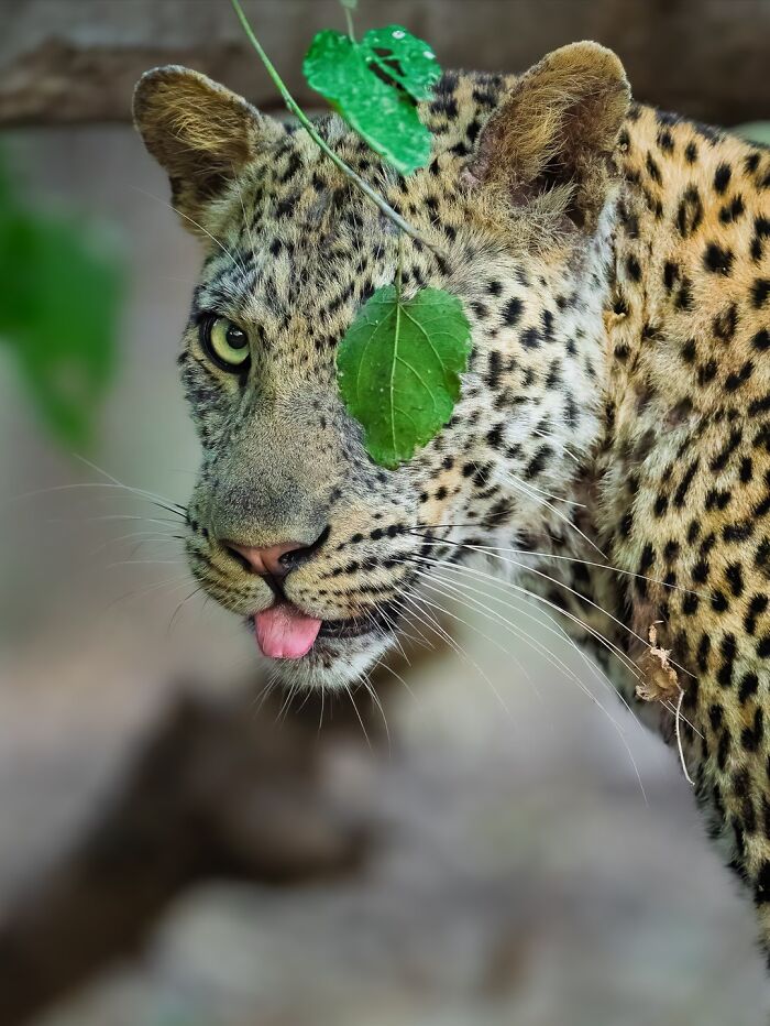 Wait, These Wildlife Shots Actually Stopped Us in Our Tracks!