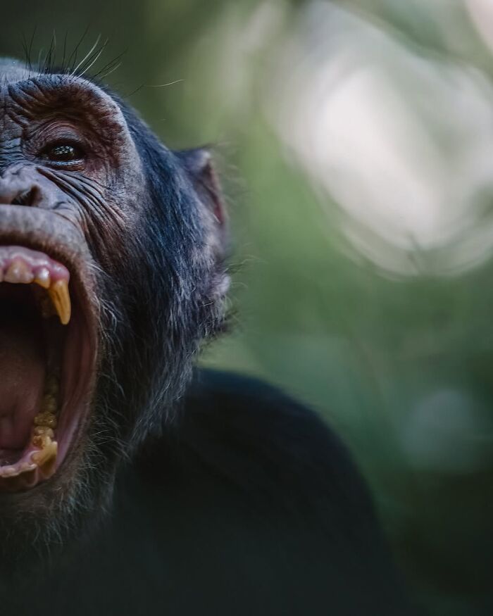 Wait, These Wildlife Shots Actually Stopped Us in Our Tracks!