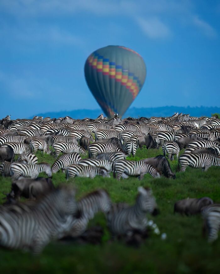 Wait, These Wildlife Shots Actually Stopped Us in Our Tracks!