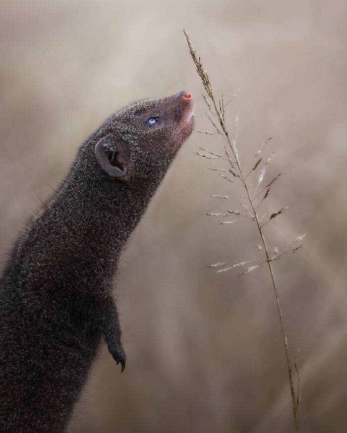 Wait, These Wildlife Shots Actually Stopped Us in Our Tracks!
